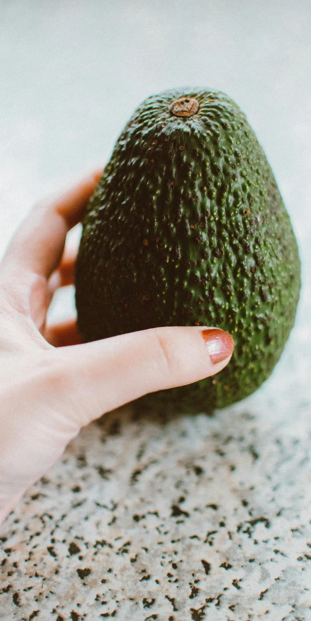 Avoberryfresh Avocado 7