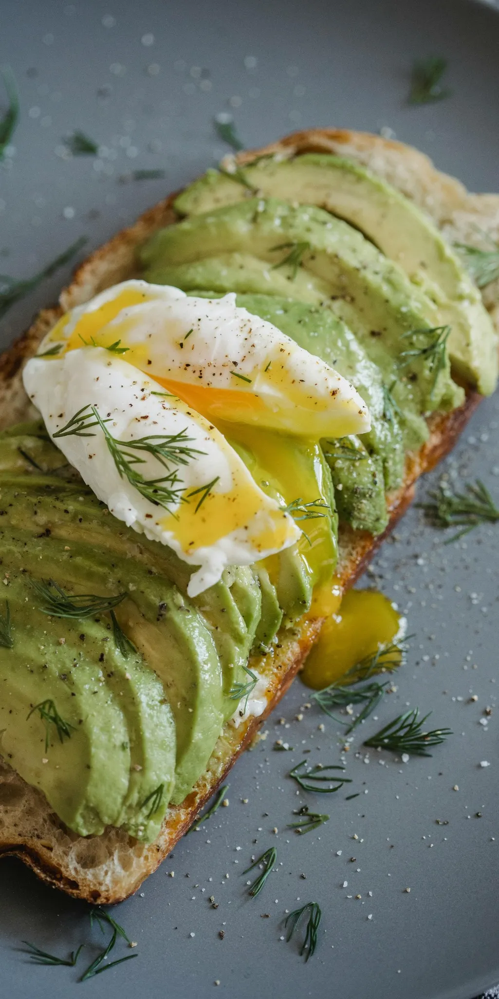Avoberryfresh Avocado 9