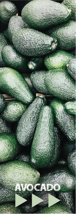 Avoberryfresh Avocado
