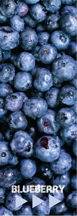 Avoberryfresh Blueberry