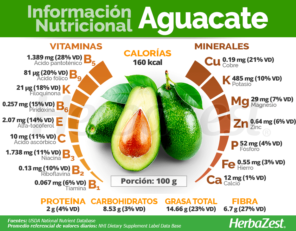 Info Aguacate