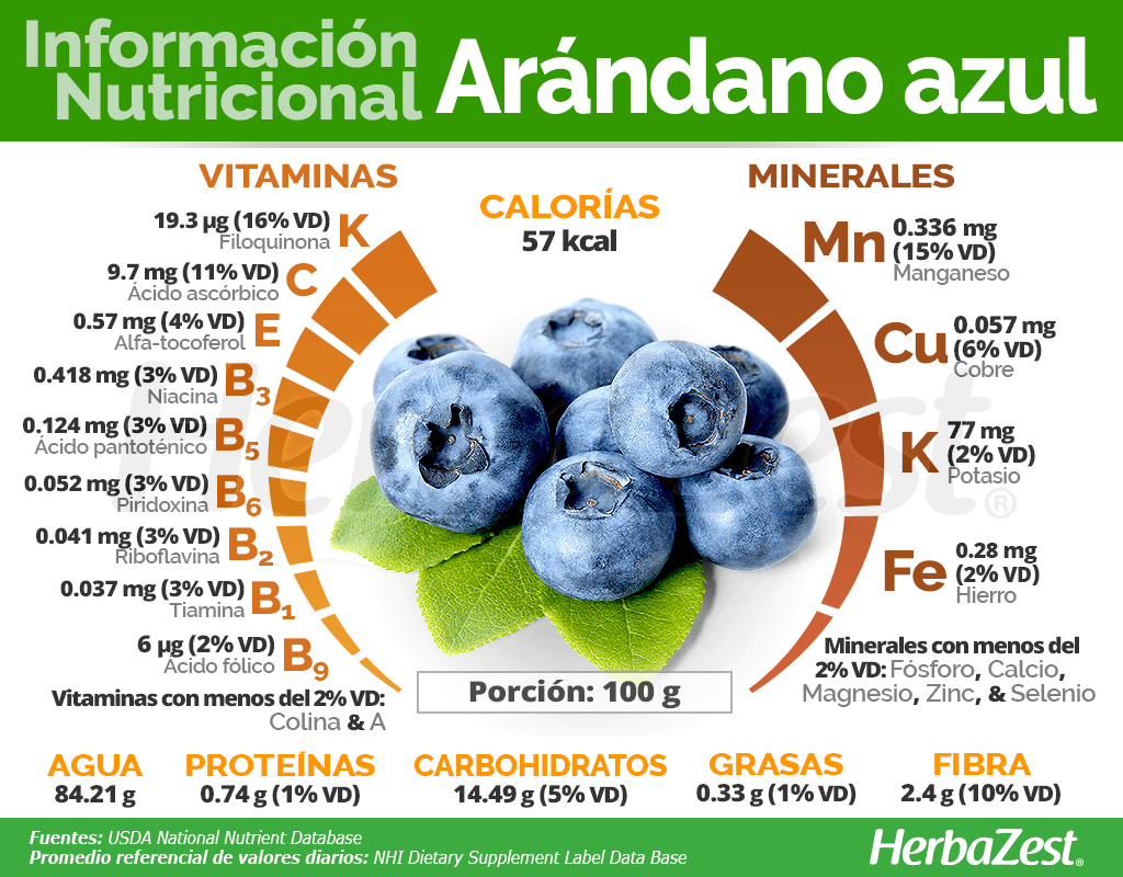 Info Arandano
